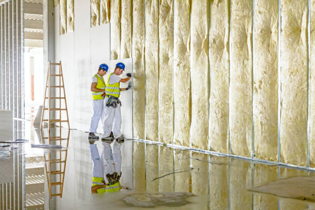Insulation for Commercial Buildings in New Sarpy, LA